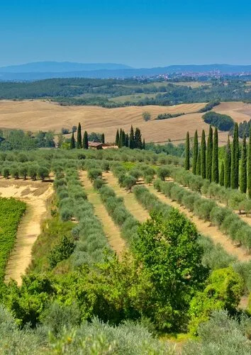 Typisch Toscaans landschap met cypressen.